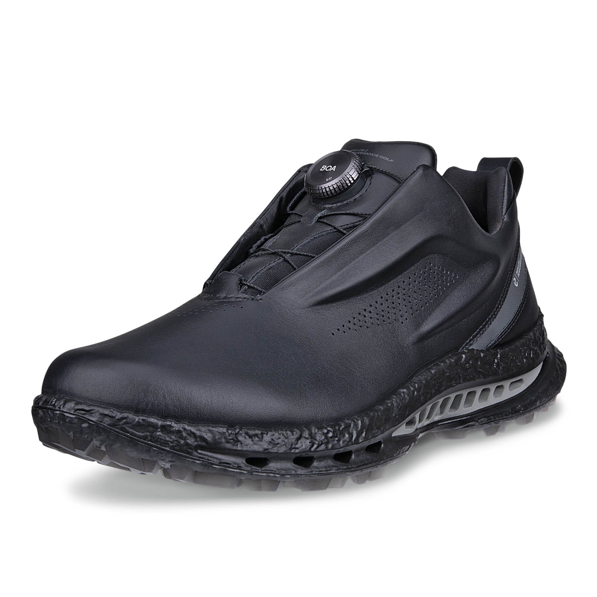 Ecco Biom C5 BOA Gore-Tex Golf Shoes - Black & Dark Silver