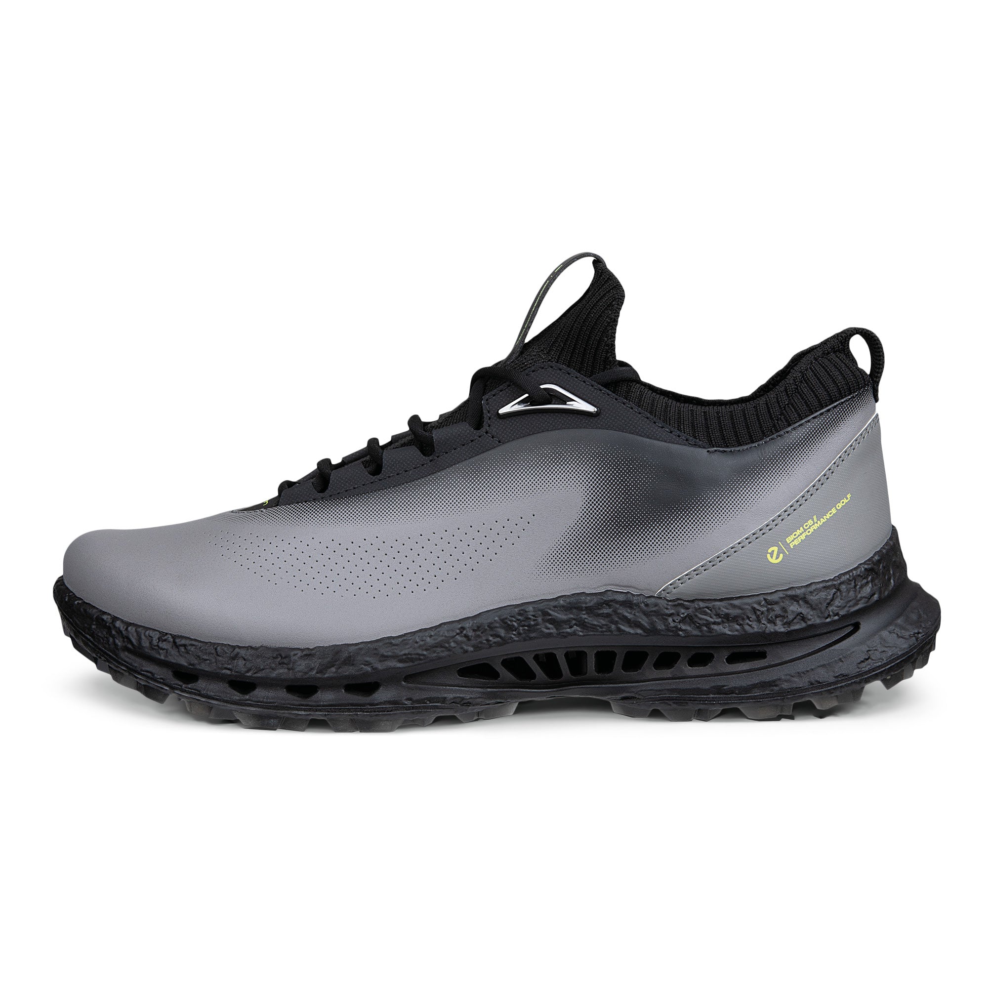 Ecco Biom C5 Lace Gore-Tex Golf Shoes - Steel & Black