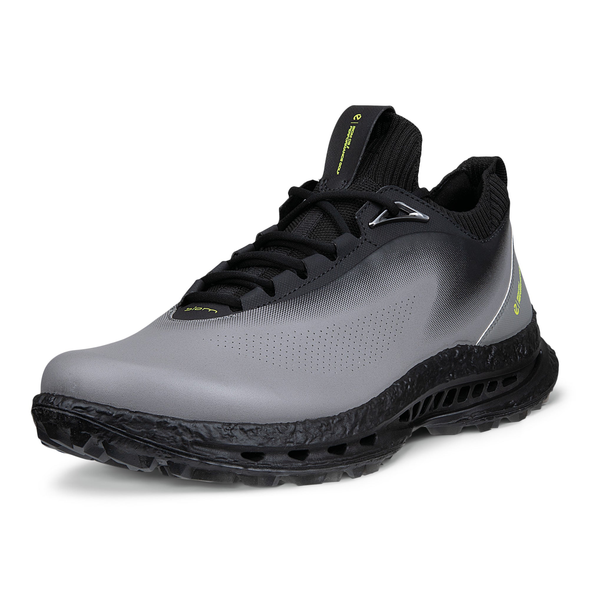 Ecco Biom C5 Lace Gore-Tex Golf Shoes - Steel & Black