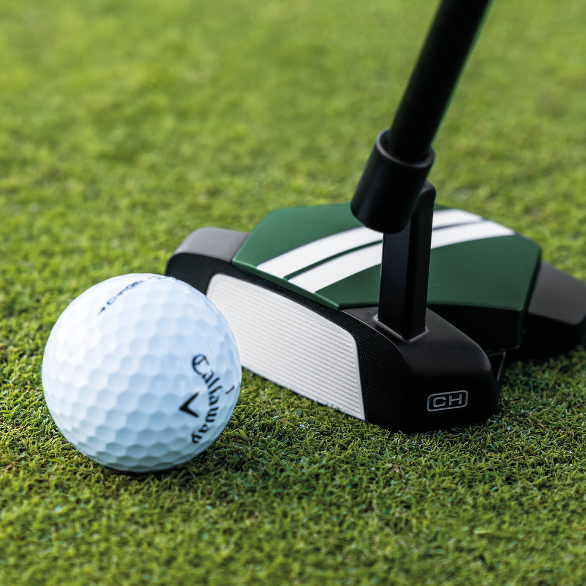 Odyssey TRTL CH Golf Putter - Right Handed (Pre-Order)