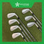 TaylorMade P790 4-PW - Dynamic Gold MID 115g S300 (Stiff)- Tour Velvet Midsize Grips