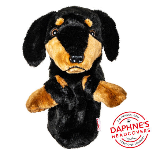 Daphne's Dachshund Dog Headcover