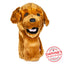 Daphne's Golden Retriever Dog Headcover
