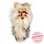 Daphne's Yorkshire Terrier Dog Headcover