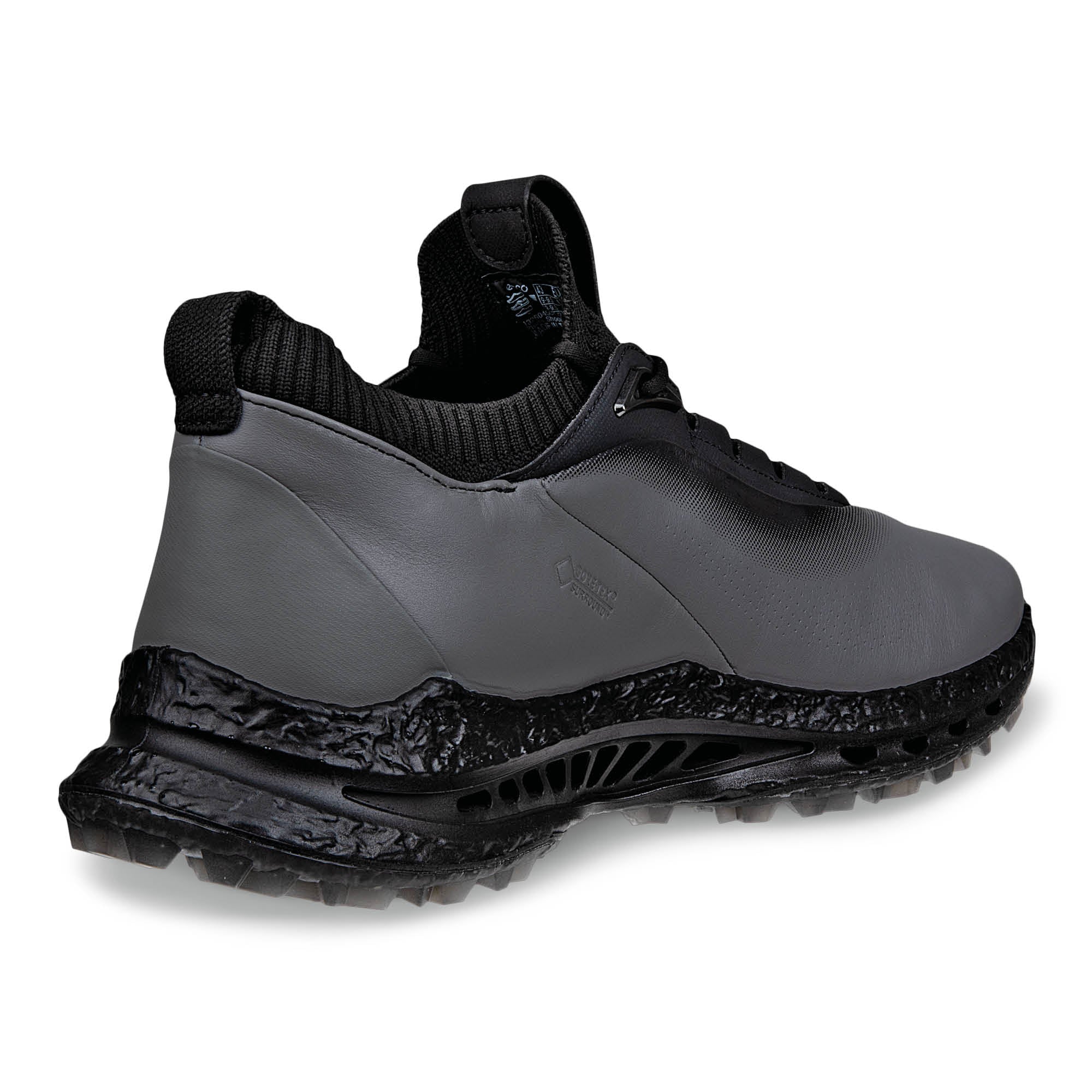 Ecco Biom C5 BOA Gore-Tex Golf Shoes - Black & Dark Silver