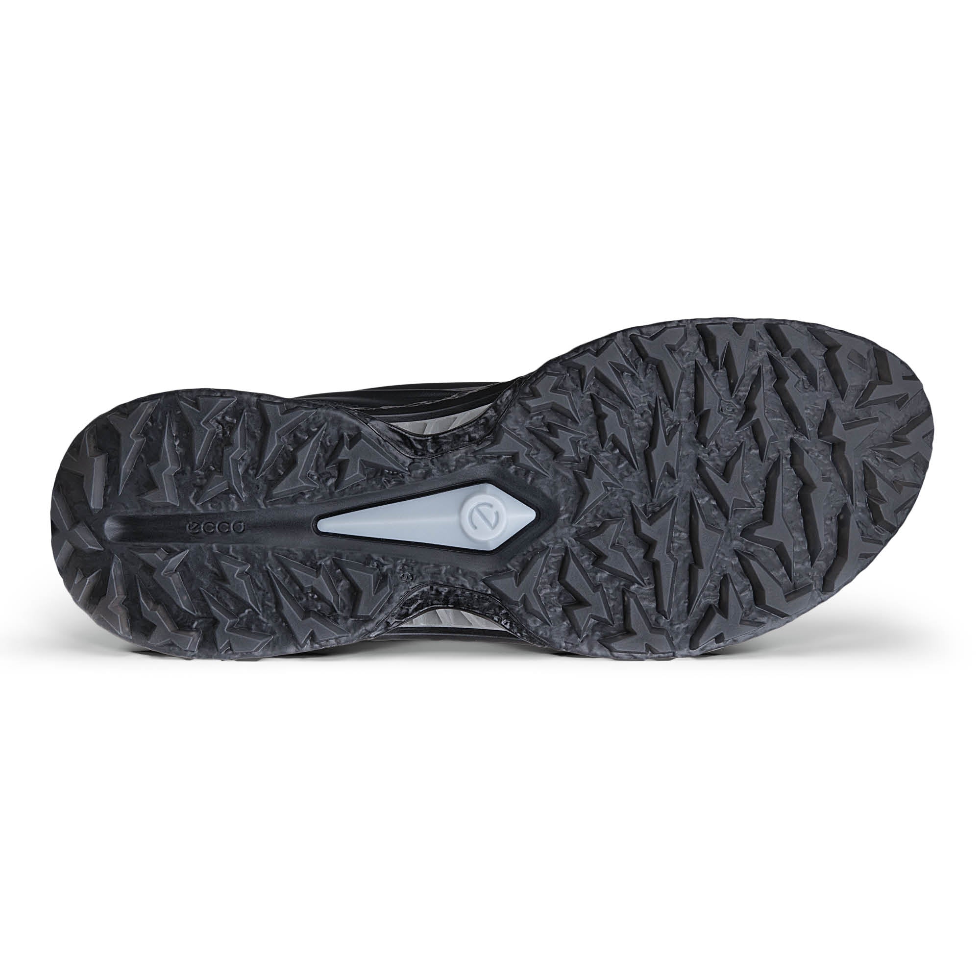 Ecco Biom C5 BOA Gore-Tex Golf Shoes - Black & Dark Silver