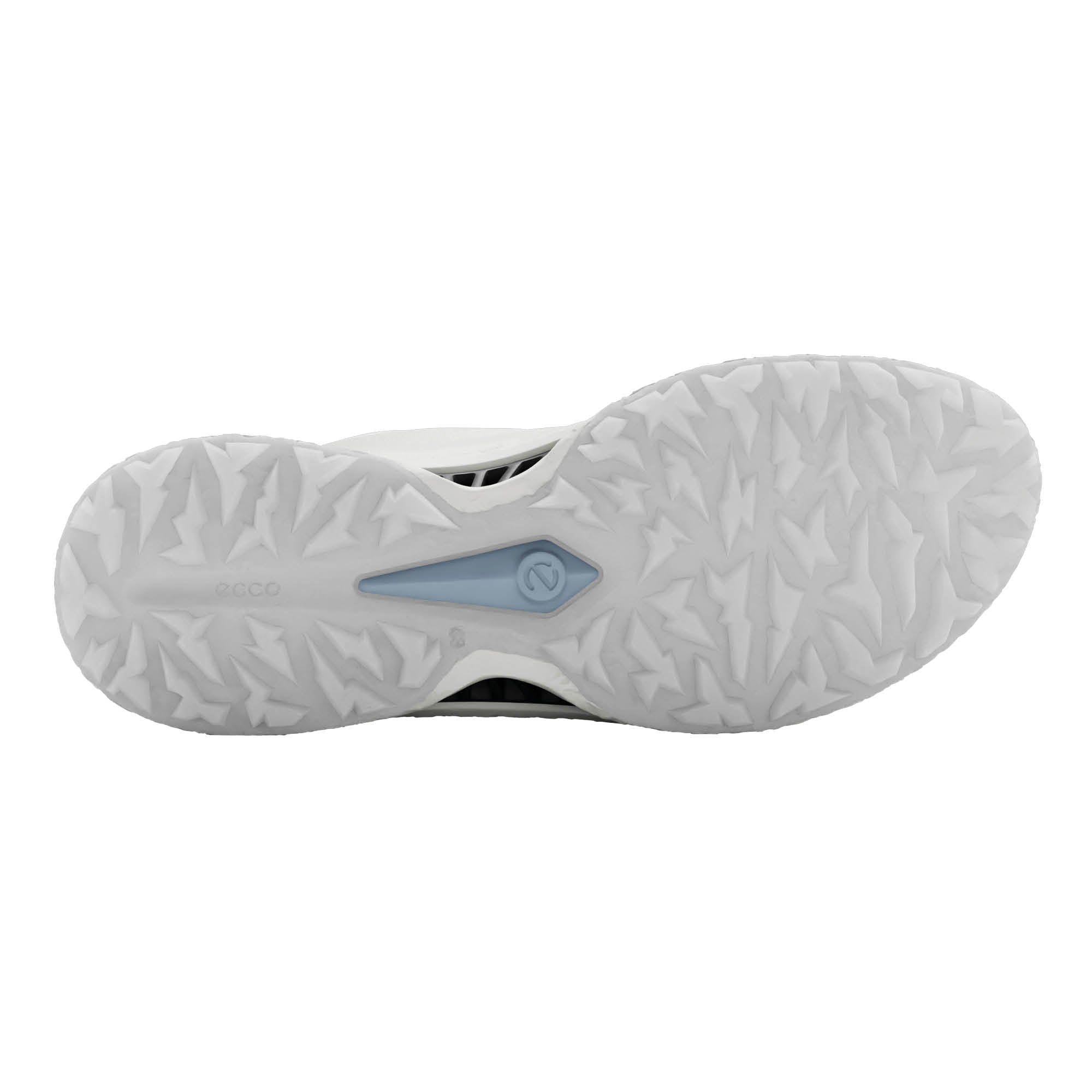 Ecco Biom C5 Premium BOA Gore-Tex Golf Shoes - White & Buffed Silver